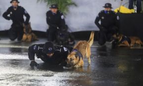Desfile policial Centinelas de la Paz por el 42 aniversario de la Policía Nacional
