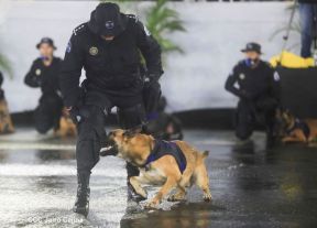 Desfile policial Centinelas de la Paz por el 42 aniversario de la Policía Nacional