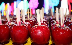 Familias disfrutan ambientes mariano y navideño en Avenida Bolívar y Plaza de la Revolución