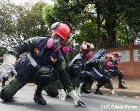 IV Ejercicio de Preparación para Protección de la vida
