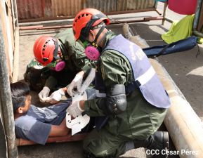 IV Ejercicio de Preparación para Protección de la vida
