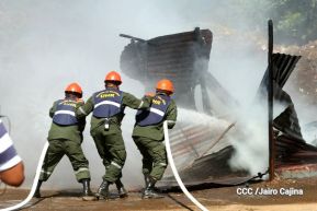 IV Ejercicio de Preparación para Protección de la vida
