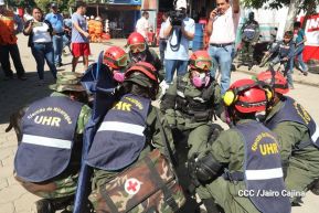 IV Ejercicio de Preparación para Protección de la vida