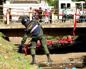 IV Ejercicio de Preparación para Protección de la vida