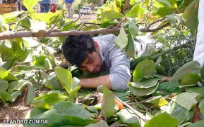 Primer Ejercicio Nacional de Preparación para proteger la vida 2022