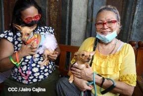 Familias de Masaya celebran la tradicional fiesta de San Lázaro