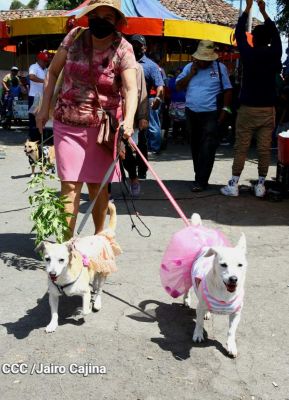Familias de Masaya celebran la tradicional fiesta de San Lázaro