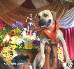 Familias de Masaya celebran la tradicional fiesta de San Lázaro