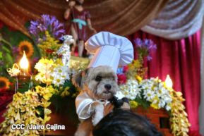 Familias de Masaya celebran la tradicional fiesta de San Lázaro