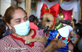 Familias de Masaya celebran la tradicional fiesta de San Lázaro