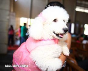 Familias de Masaya celebran la tradicional fiesta de San Lázaro