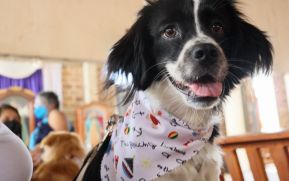 Familias de Masaya celebran la tradicional fiesta de San Lázaro