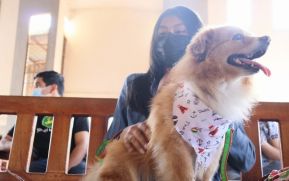 Familias de Masaya celebran la tradicional fiesta de San Lázaro