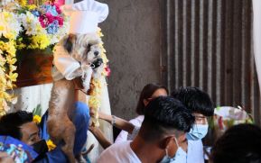 Familias de Masaya celebran la tradicional fiesta de San Lázaro