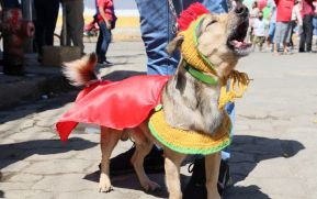 Familias de Masaya celebran la tradicional fiesta de San Lázaro