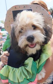 Familias de Masaya celebran la tradicional fiesta de San Lázaro