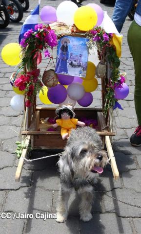 Familias de Masaya celebran la tradicional fiesta de San Lázaro