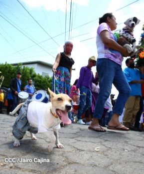 Familias de Masaya celebran la tradicional fiesta de San Lázaro