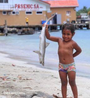 Conozca Corn Island, el paraíso en la tierra que está en Nicaragua