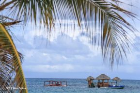 Conozca Corn Island, el paraíso en la tierra que está en Nicaragua