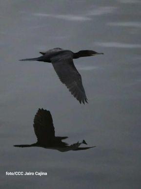 Ruta Granada-Altagracia-San Carlos, conexión que fortalece el comercio y turismo