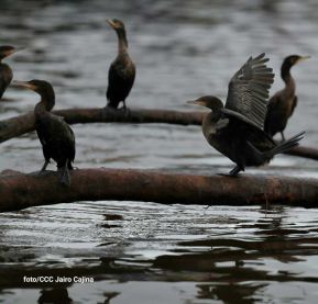 Ruta Granada-Altagracia-San Carlos, conexión que fortalece el comercio y turismo
