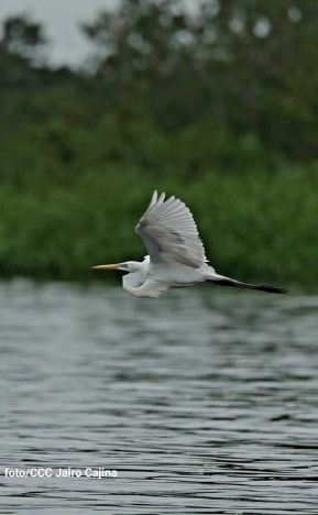 Ruta Granada-Altagracia-San Carlos, conexión que fortalece el comercio y turismo