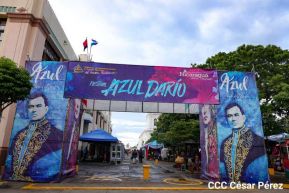 ¡Sí, el Arte es el Azul...!