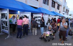 ¡Sí, el Arte es el Azul...!