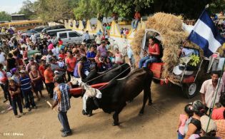Carretas peregrinas llegan a Popoyuapa en un ambiente de fe y devoción