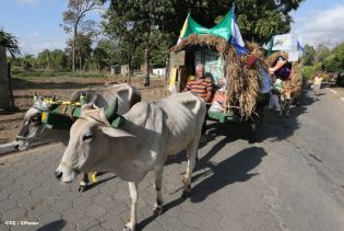 Carretas peregrinas llegan a Popoyuapa en un ambiente de fe y devoción