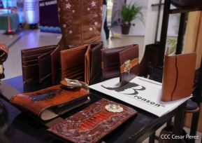 Nicaragua Diseña 2022: Florece la Creatividad y el Diseño