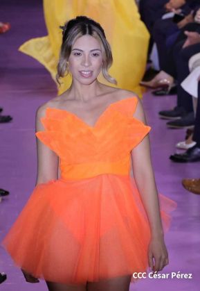 Nicaragua Diseña 2022: Florece la Creatividad y el Diseño