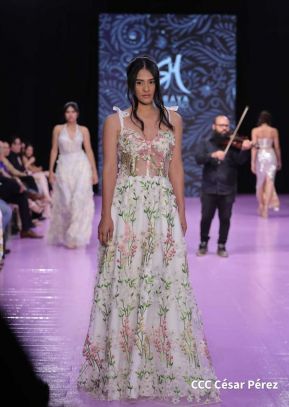 Nicaragua Diseña 2022: Florece la Creatividad y el Diseño