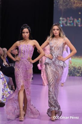 Nicaragua Diseña 2022: Florece la Creatividad y el Diseño