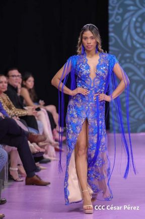 Nicaragua Diseña 2022: Florece la Creatividad y el Diseño