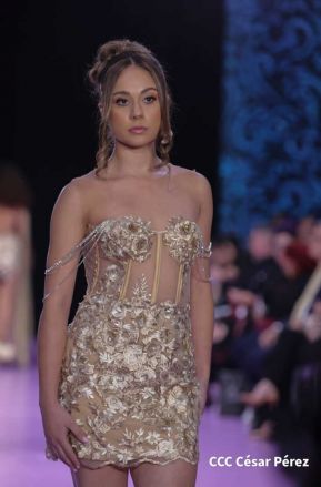 Nicaragua Diseña 2022: Florece la Creatividad y el Diseño