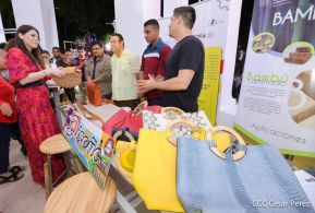 Managua forma parte de la Red Nacional de Ciudades Creativas