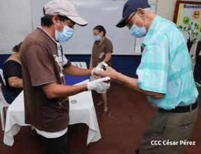 Elecciones Soberanas Municipales 2022