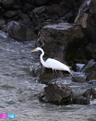 Isla de Ometepe, un oasis de paz para disfrutar las vacaciones de Semana Santa