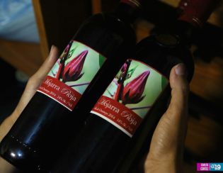 Isla de Ometepe, un oasis de paz para disfrutar las vacaciones de Semana Santa