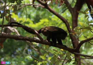 Isla de Ometepe, un oasis de paz para disfrutar las vacaciones de Semana Santa