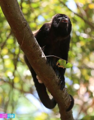 Isla de Ometepe, un oasis de paz para disfrutar las vacaciones de Semana Santa