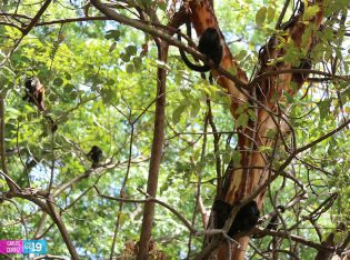 Isla de Ometepe, un oasis de paz para disfrutar las vacaciones de Semana Santa