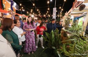 EsArte 2022: Naturaleza, Arte y Moda