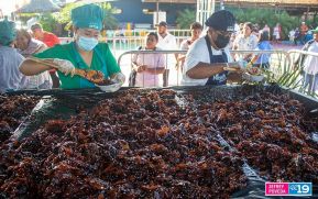 Nicaragua:  Amores de Verano 2023