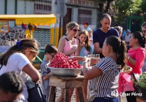 Alfombras Pasionarias: Arte que brota de las manos de un Pueblo de Fé, un Pueblo Cristiano