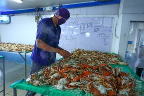 Conoce la variedad de destinos y riquezas de Bluefields