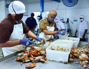 Conoce la variedad de destinos y riquezas de Bluefields