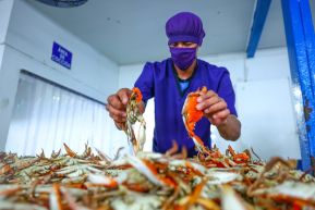 Conoce la variedad de destinos y riquezas de Bluefields